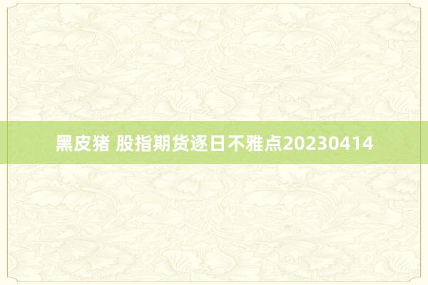 黑皮猪 股指期货逐日不雅点20230414