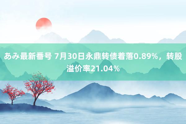 あみ最新番号 7月30日永鼎转债着落0.89%，转股溢价率21.04%