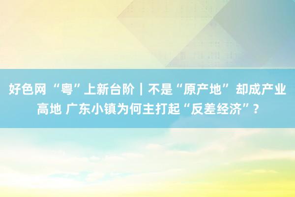 好色网 “粤”上新台阶｜不是“原产地” 却成产业高地 广东小镇为何主打起“反差经济”？