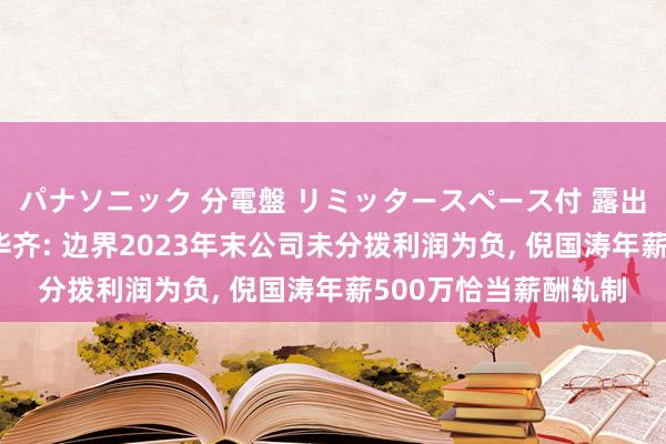 パナソニック 分電盤 リミッタースペース付 露出・半埋込両用形 新华齐: 边界2023年末公司未分拨利润为负， 倪国涛年薪500万恰当薪酬轨制